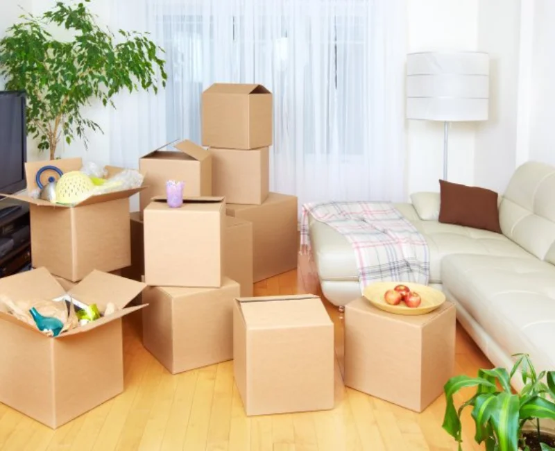 Delhi packers and movers